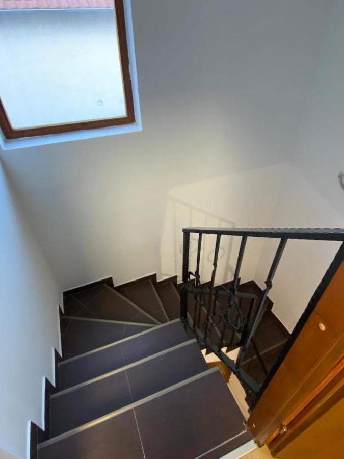 House Reko Villa Belgrad Dış mekan fotoğraf